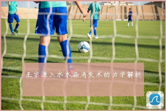 王宗源入水水花消失术的力学解析