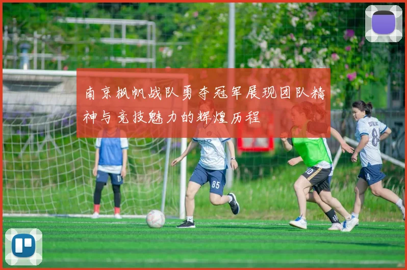 南京枫帆战队勇夺冠军展现团队精神与竞技魅力的辉煌历程