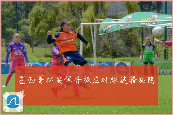 墨西哥杯安保升级应对球迷骚乱隐患