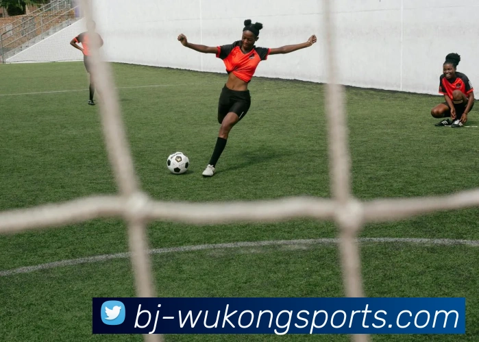 多媒体互动体验